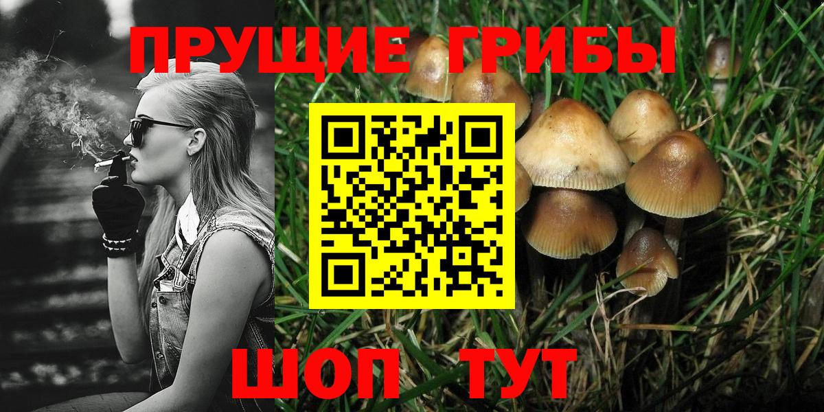 Псилоцибиновые грибы Psilocybe Лангепас