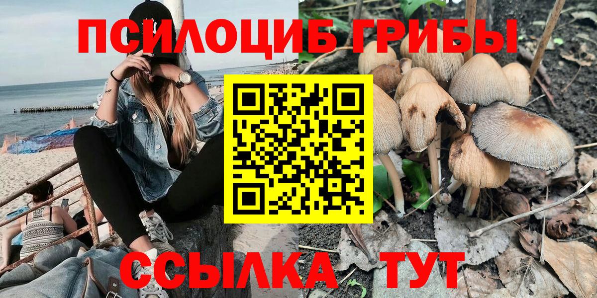 как найти наркотики  Галлюциногенные грибы мухоморы  Вход с VPN  Лангепас  Псилоцибиновые грибы Psilocybine cubensis 